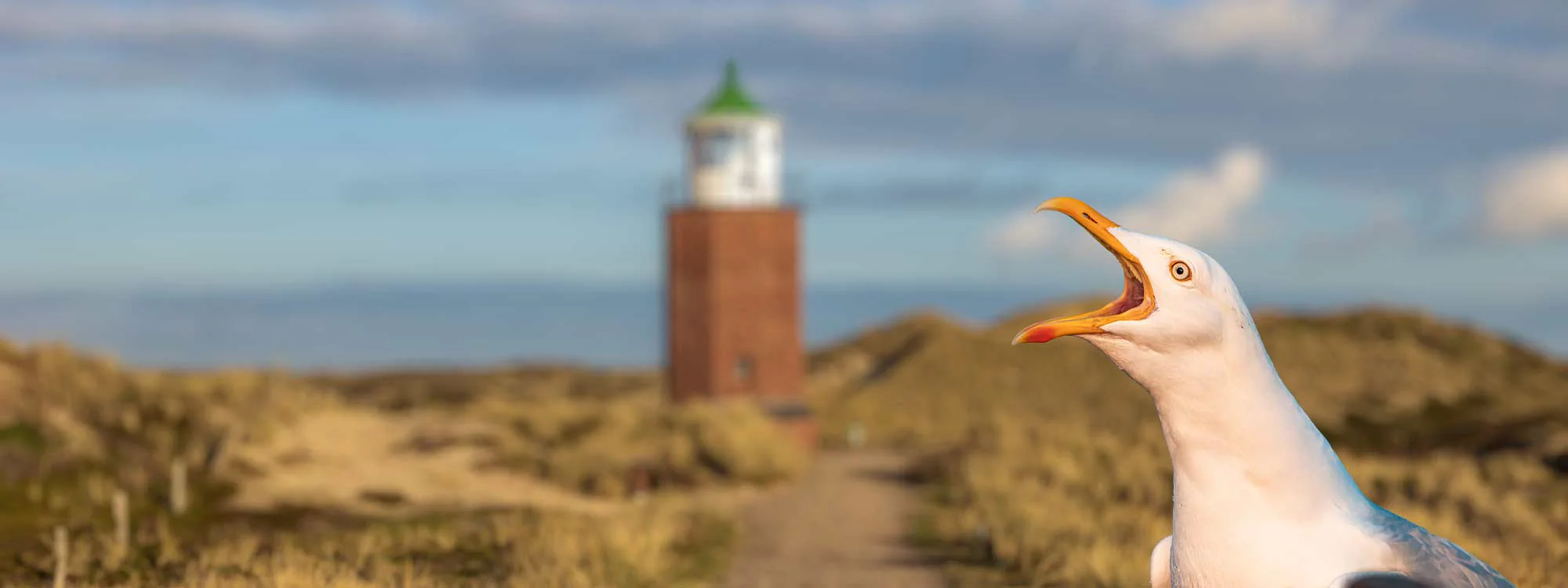 Nachhaltige Mode für Meeresliebhaber